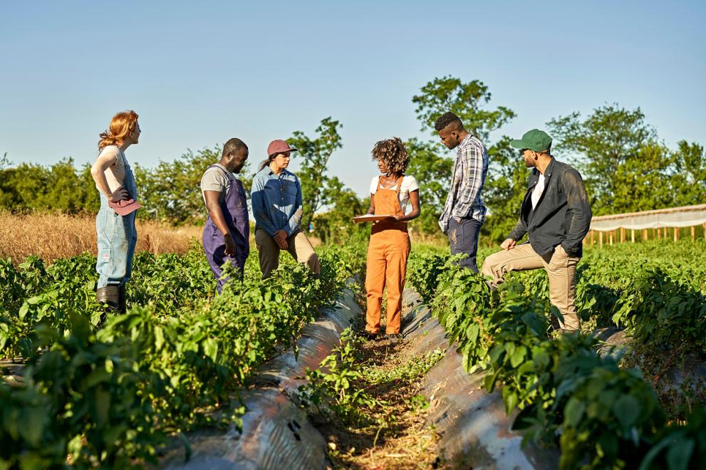 A group of people standing in a field