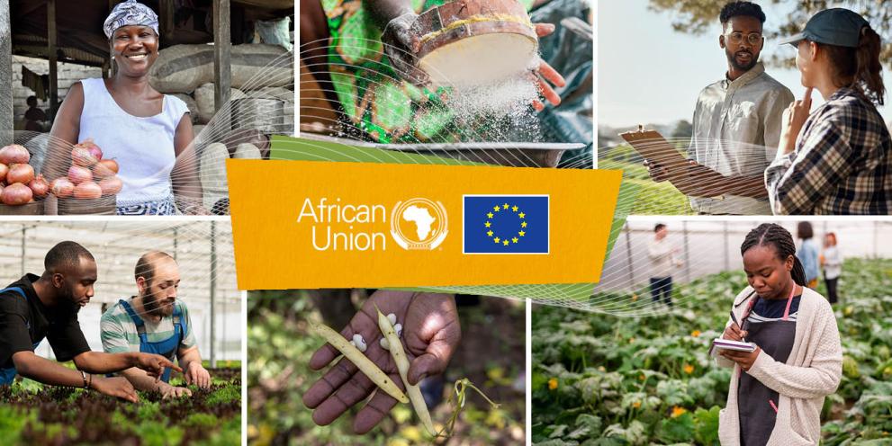 5th AU-EU Agricultural Ministerial Conference