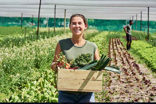 female farm worker holding a box of vegetables