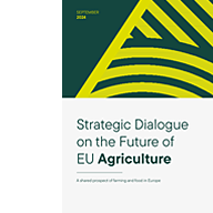 Strategic Dialogue report front cover